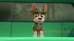 Paw.Patrol.S03E25.Tracker.Joins.the.Pups.720p.WEB-DL.AAC2.0.H264-BTN 586169