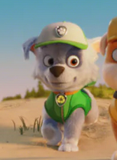 Rocky | Paw Patrol Wiki | Fandom