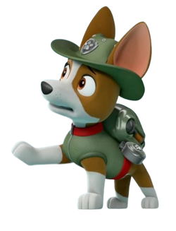 Paw Patrol - Tracker, le ranger de la jungle 