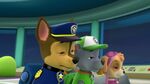 PAW.Patrol.S01E16.Pups.Save.Christmas.720p.WEBRip.x264.AAC 458591