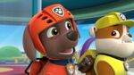 PAW.Patrol.S01E21.Pups.Save.the.Easter.Egg.Hunt.720p.WEBRip.x264.AAC 307541