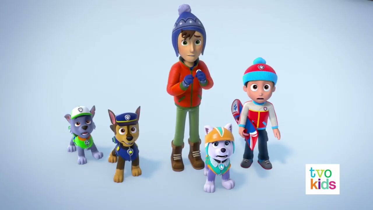 paw patrol bear