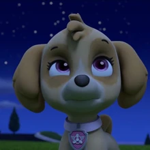 pups save a space toy