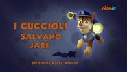 "Pups Save Jake" ("I cuccioli salvano Jake") title card on Nick Jr.