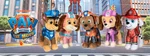 Carrusel pawpatrolmovie