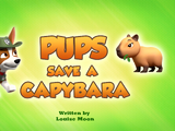 Pups Save a Capybara