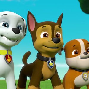 paw patrol pup chase