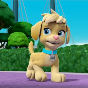 るーのすけella tuck alapants るーのすけella tuck alapants るーのすけella tuck alapants