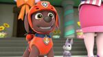 PAW.Patrol.S01E21.Pups.Save.the.Easter.Egg.Hunt.720p.WEBRip.x264.AAC 1244543