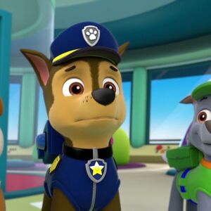 paw patrol egg hunt