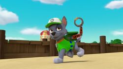 Rocky Saves Chickaletta's Egg 🥚, PAW Patrol Rescue Episode