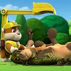 Rubble/Trivia, PAW Patrol Wiki