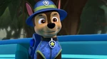 Jungle Rescue uniform with normal pup pack (as of Season 8)