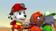 PAW.Patrol.S02E07.The.New.Pup.720p.WEBRip.x264.AAC 156289