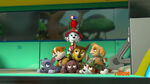 PAW Patrol 321A Scene 13