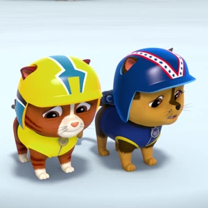 Cat Chase Gallery Paw Patrol Wiki Fandom