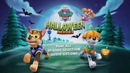 Main menu