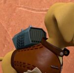 Dwayne Pup Pack view.jpg (18 KB)