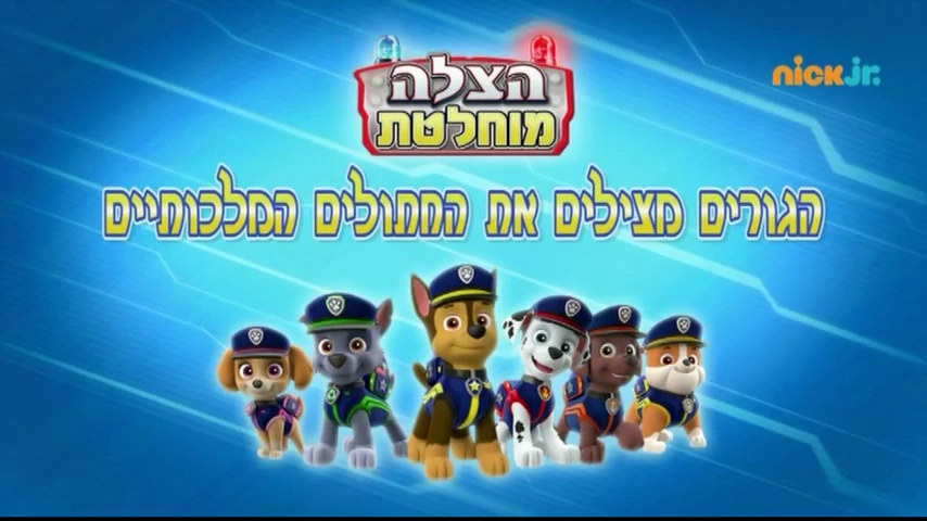 paw patrol lookout climbing frame