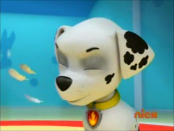 Marshall/Gallery/Pups in a Fog, PAW Patrol Wiki