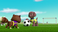Pups Soccer 44