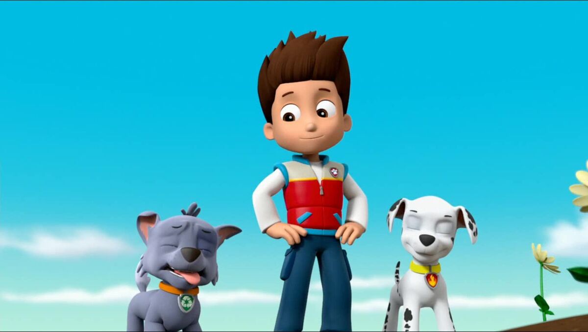 Rockygallerypups Save The Runaway Kitties Paw Patrol Wiki Fandom