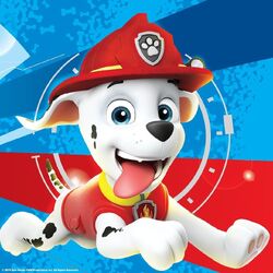 Marshall/Gallery, PAW Patrol Wiki, Fandom