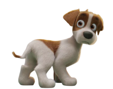What are the Dog Breeds in Paw Patrol: Ultimate Guide