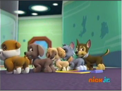 paw patrol pups save the easter egg hunt