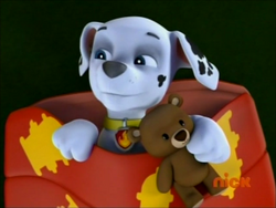 Marshall s teddy bear PAW Patrol Wiki Fandom