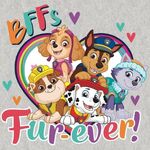 PAW Patrol friendship day