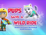 Pups Save a Wild Ride