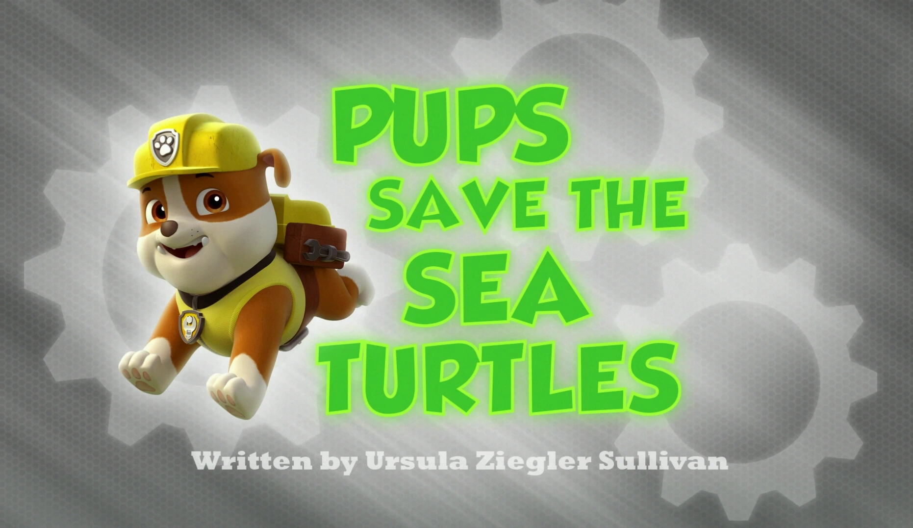 Pups Save the Sea Turtles | PAW Patrol 