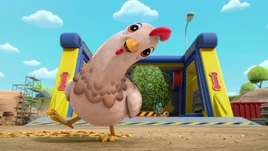 RC Chicken Feeder 74