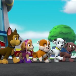 paw patrol sky patroller