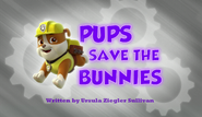 Pups Save the Bunnies