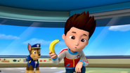 Ryder with Banana