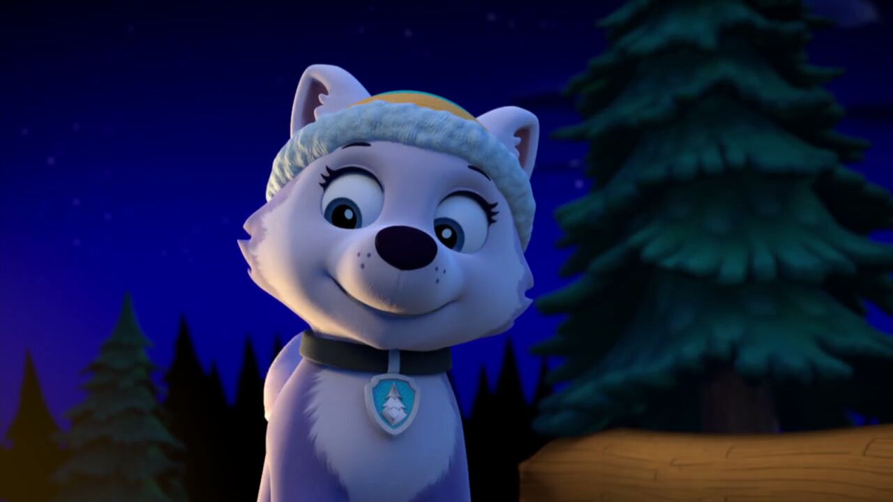 New Pup/Quotes | PAW Patrol Wiki |