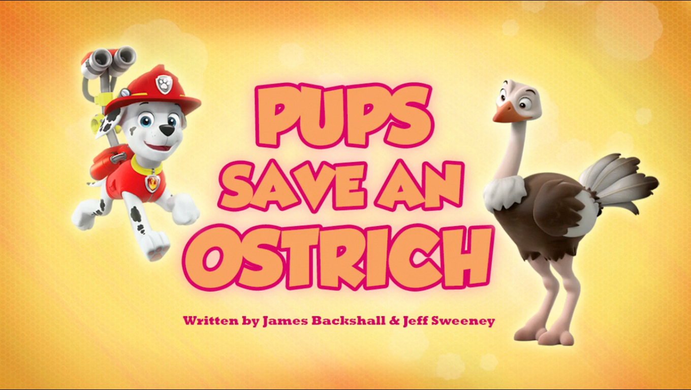 Pups Save an Ostrich | PAW Patrol Wiki 