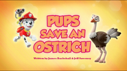 Pups Save an Ostrich (HQ)