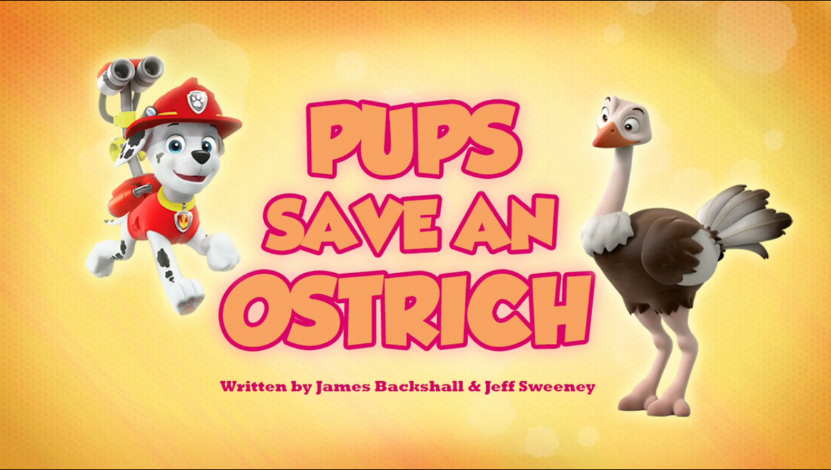 Paw patrol outlet s05