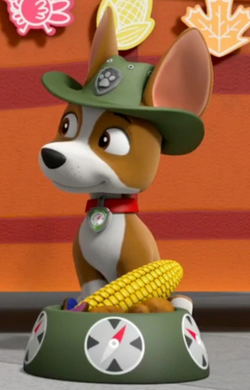 https://static.wikia.nocookie.net/paw-patrol/images/2/2e/Screenshot_2019-02-26-23-37-27~2.png/revision/latest/scale-to-width-down/250?cb=20190227053848