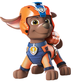 Paw Patrol I Zuma – StockCalifornia