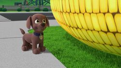 PAW Patrol Live! - Zuma is a playful Labrador pup. This energetic beach  puppy is the PAW Patrol's water rescue dog! 🌊 Zuma loves to laugh and  surf. You can catch Zuma