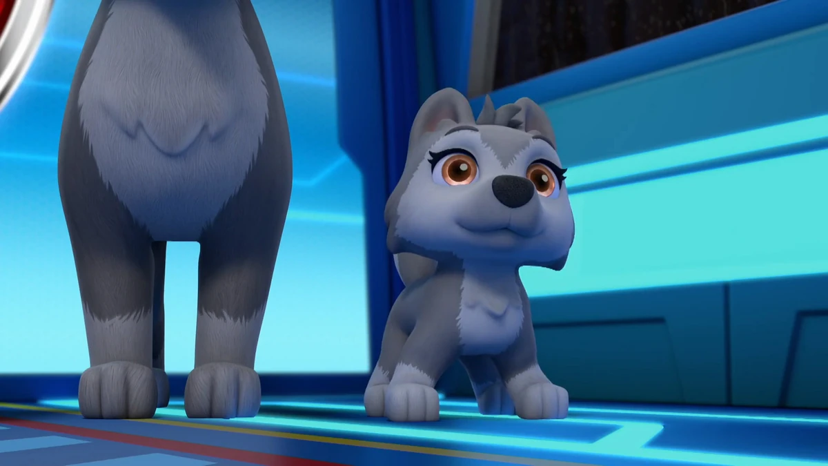 Little Wolfy/Appearances PAW Patrol Wiki Fandom
