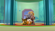 PAW Patrol 321B Scene 34