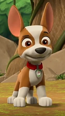Tracker | PAW Patrol Wiki | Fandom
