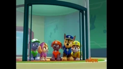 Pups Save the Parade/Gallery | PAW 