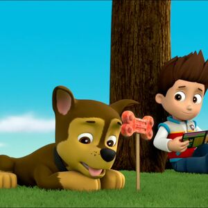 paw patrol ultimate rescue ryder