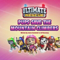 paw patrol rubble mountain rescue